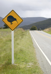Study_Nelson_New_Zealand_Symbols (12)