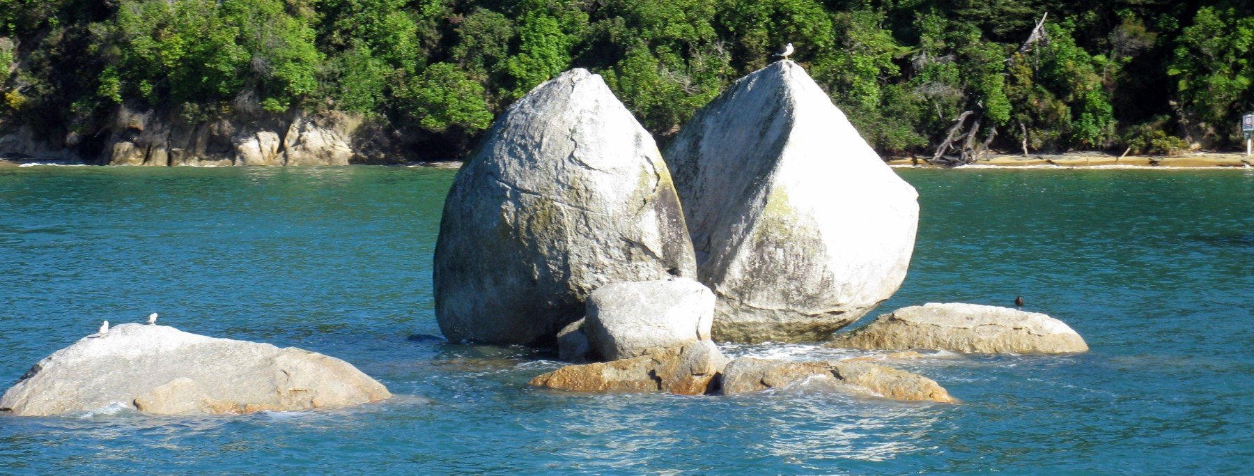Laras Praktikum in Neuseeland